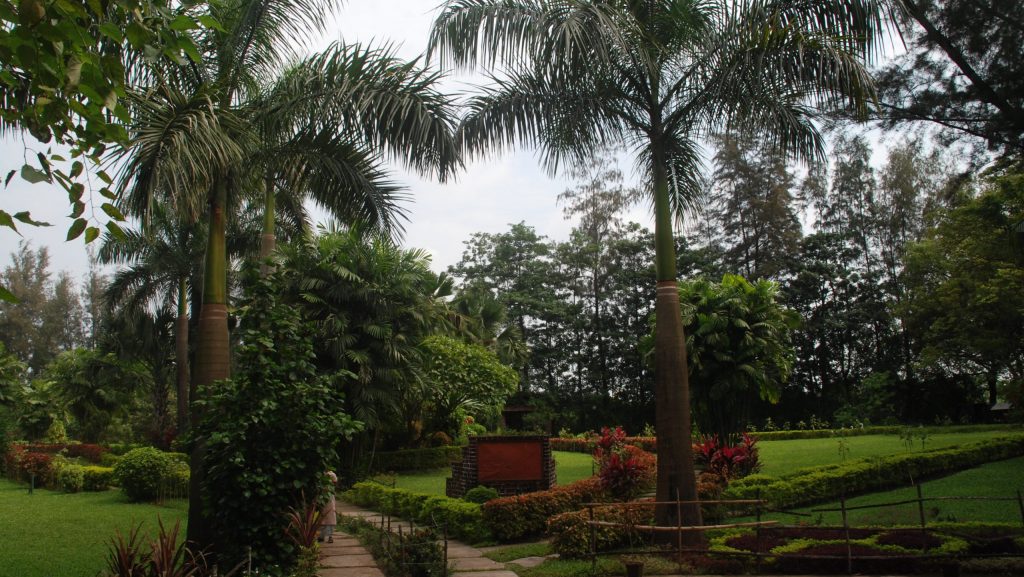 “Lush green landscape and palm trees at Vanganga Garden in Silvassa.”