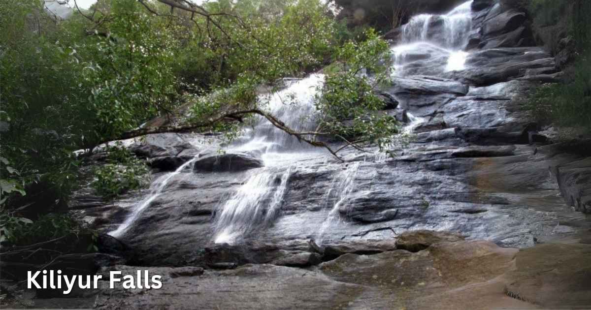 Cascading stream of Kiliyur Falls flowing over dark rock surfaces surrounded by forest greenery.