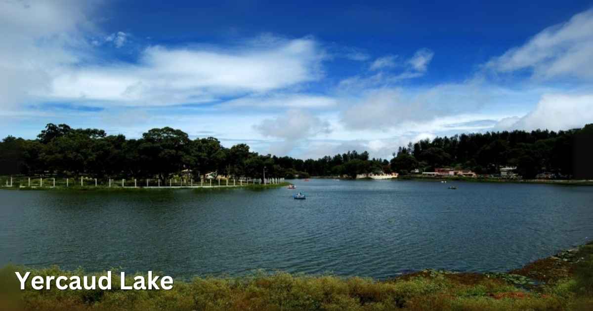 Calm waters of Yercaud Lake with boats and lush greenery in the background under a blue sky.