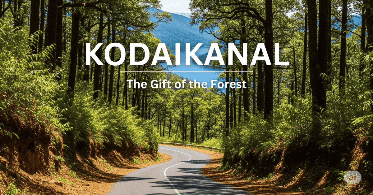 Scenic road through a dense forest in Kodaikanal, Tamil Nadu, with the caption "Kodaikanal - The Gift of the Forest" highlighting its natural beauty and lush greenery.