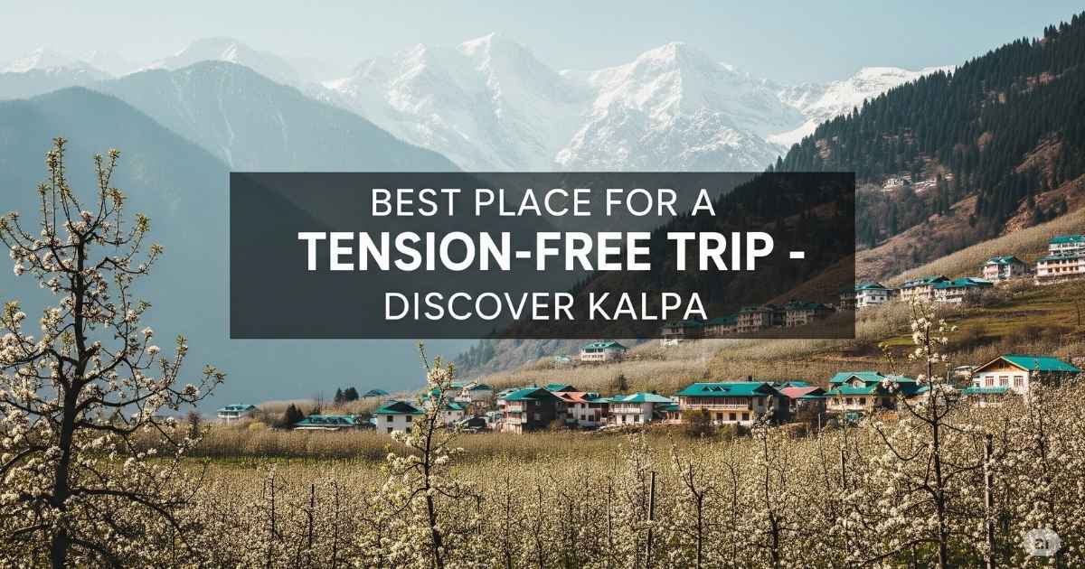 Discover top places to visit in Kalpa for a peaceful mountain escape. Explore monasteries, apple orchards & scenic treks in this Himalayan village.