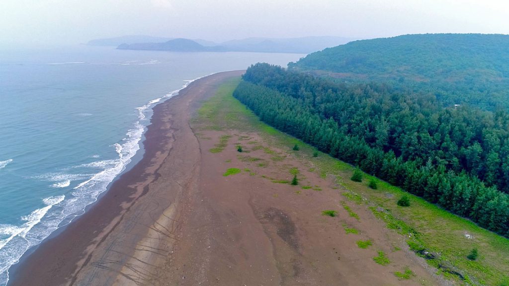 "Aerial view of Velas Beach in Maharashtra showing a long shoreline, calm waves, and a dense green coastal forest along the Arabian Sea."