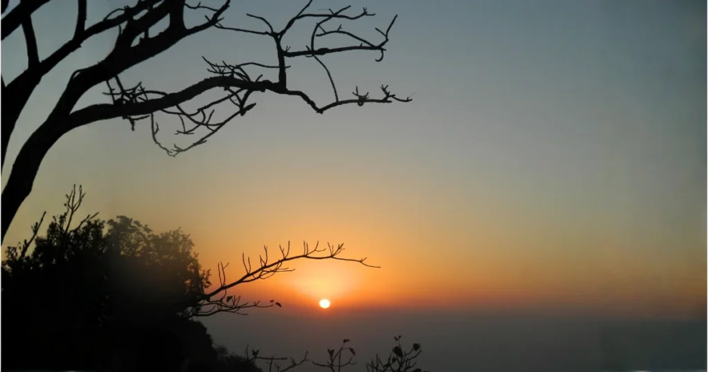 Silhouette of barren tree branches framing a vibrant orange and blue sunset over a hazy horizon at Sunset Point, Mount Abu.